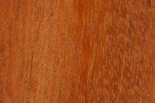 Jatoba